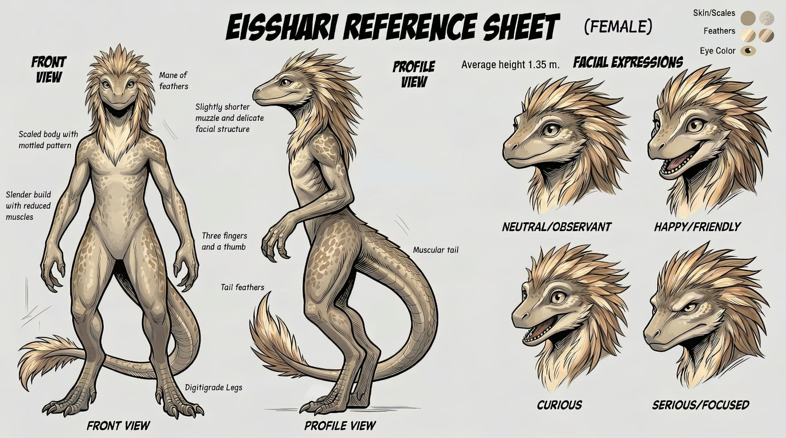eisshari_reference_sheet_-_female.jpeg